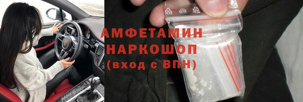 гашик Белокуриха
