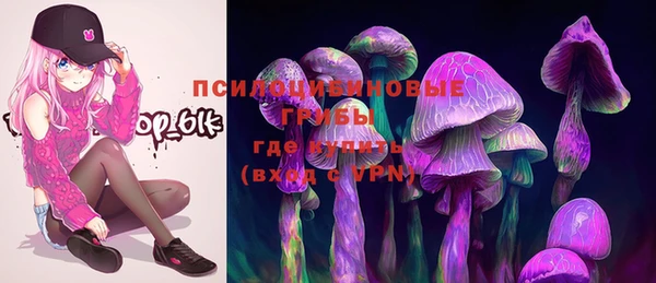 эйфоретик Балахна